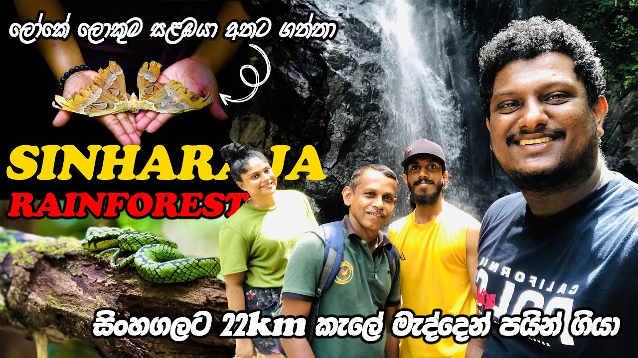 Sinharaja Rainforest Sri Lanka, Lion Rock, Forests in Sri Lanka, Pitadeniya Entrance, world Heritage
