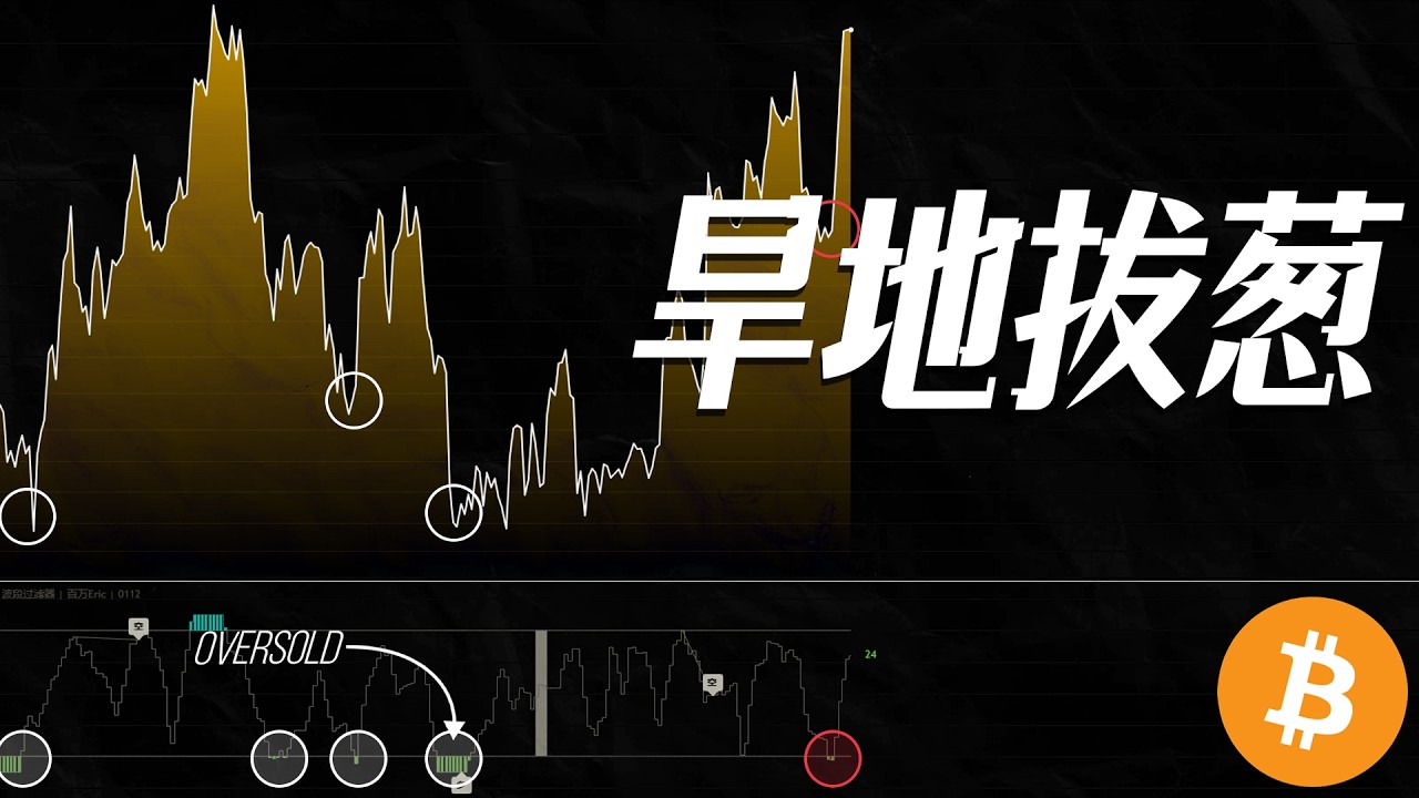 比特币旱地拔葱，空头尸体堆成山！什么情况？