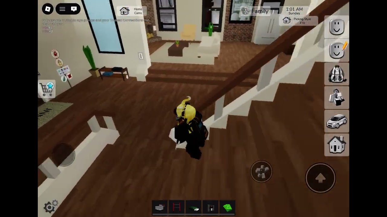 How to rob a persons house in brook heaven