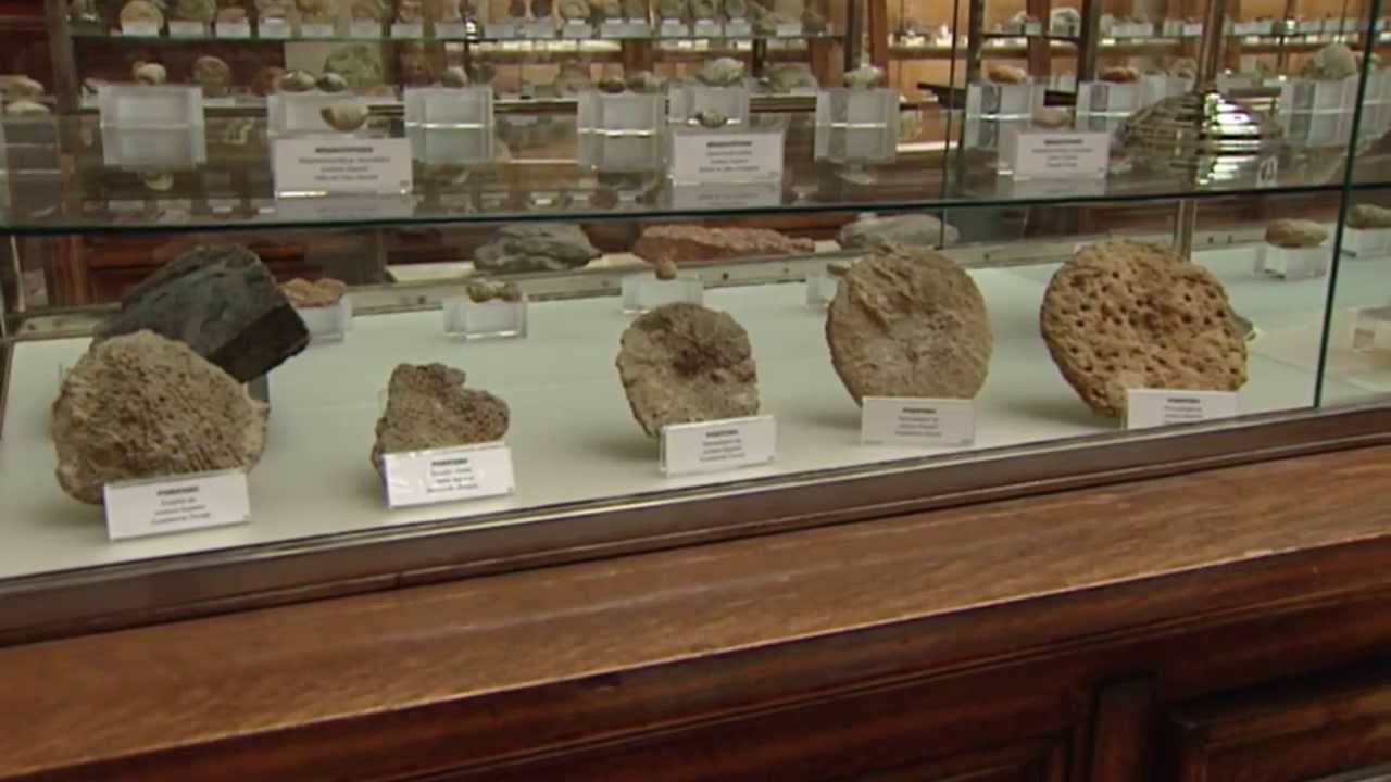 Descubre con Tadeo. Capitulo07. Museo Geominero