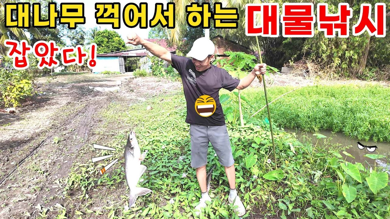 베트남시골 어설픈채비로 접근하면 동기부여가 확실해지는 둠벙 대물낚시! #대물낚시