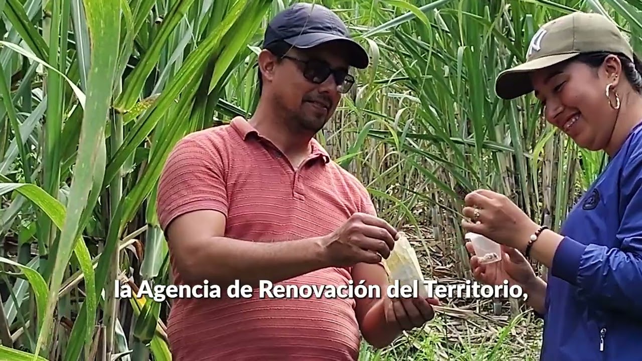 Presentación Del Proyecto Convenio ART y Asoagrocote
