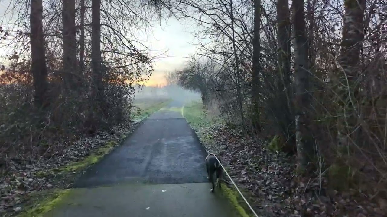 Foggy Pre-Dawn Dog Walk | Winter Morning at Champoeg State Park