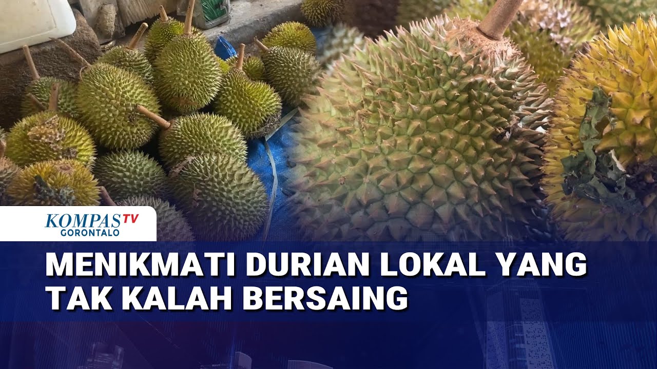Menikmati Durian Lokal Yang Tak Kalah Bersaing