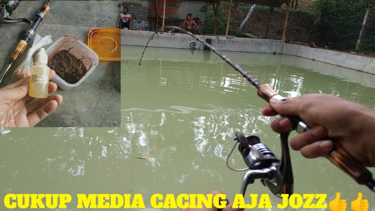 TEST ESEN MICRO CACING YG VIRAL DIKOLAM HARIAN