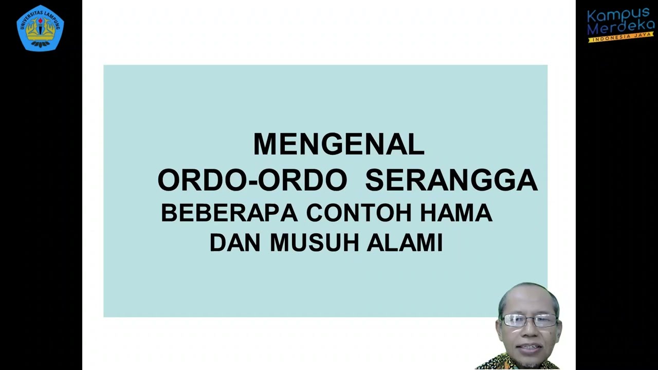 6. HPT - Ilmu Hama Tumbuhan -   Mengenal ordo ordo serangga