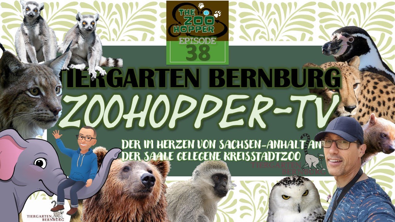 Der im Herzen von Sachsen-Anhalt an der Saale gelegene Kreisstadt-Zoo (Zoohopper-TV Episode 38)