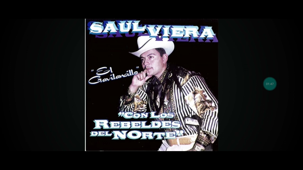 Manuel Salas El gavillancillo