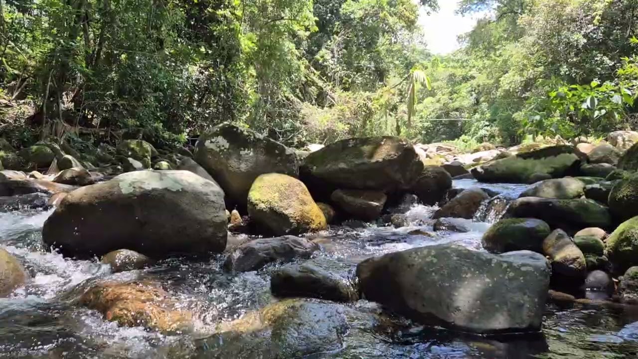 Som Natural de Rio no Campo | Ruído Branco da Água para Foco e Relaxamento | 1 Hora