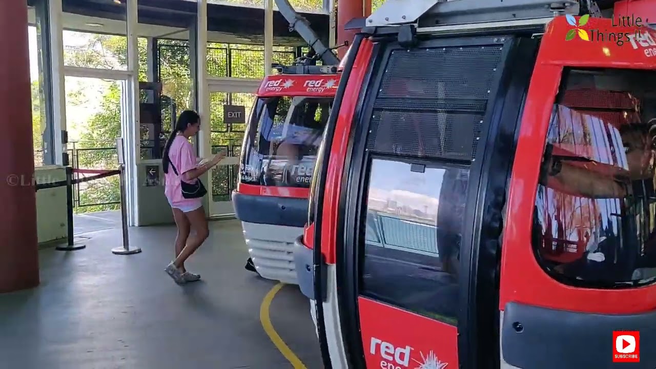 Taronga Zoo Part 1 | The Ferry Journey, Sky Safari Cable Car, The Zoo.