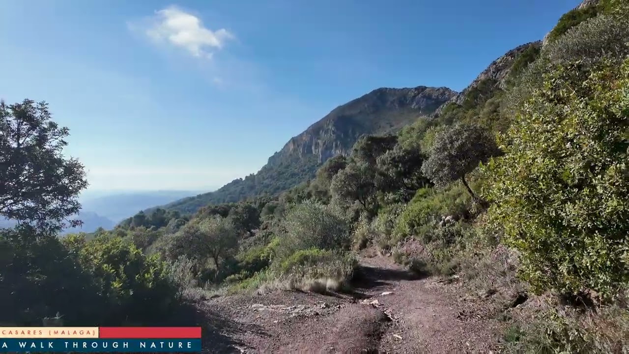 A walk through nature in Casares (Málaga) #4k #walkingtour