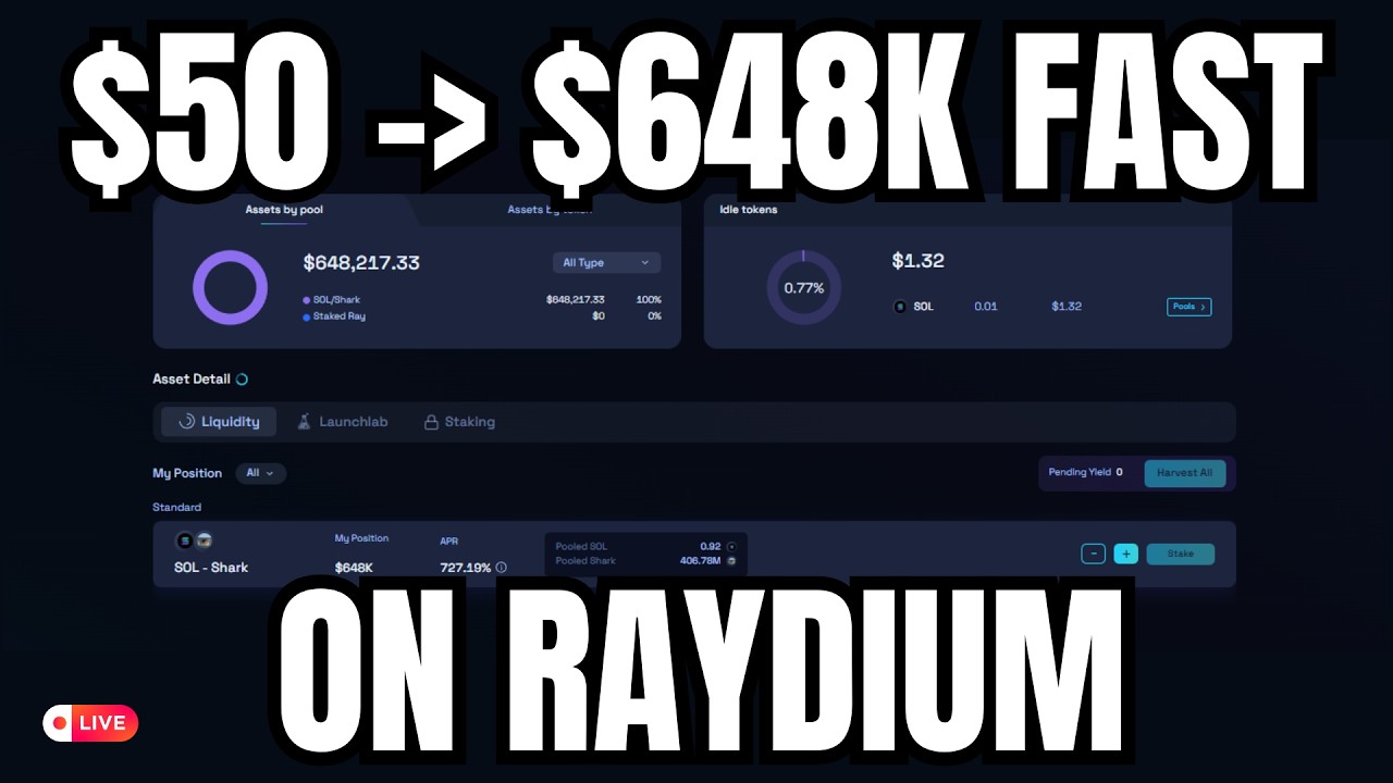 How to Launch a Meme Coin on Raydium and Make $648K FAST (STEP-BY-STEP)