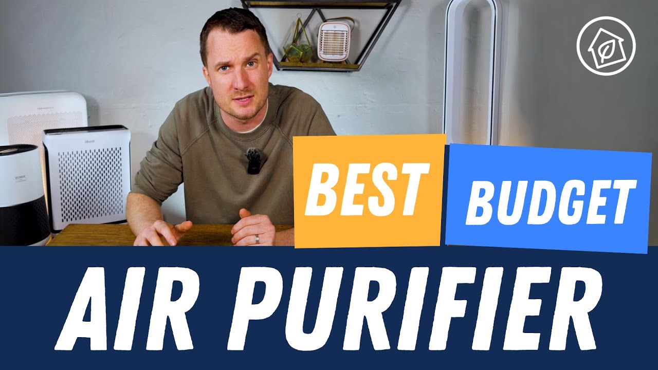 The Best Budget Air Purifiers of 2024 - Cheaper Than $100