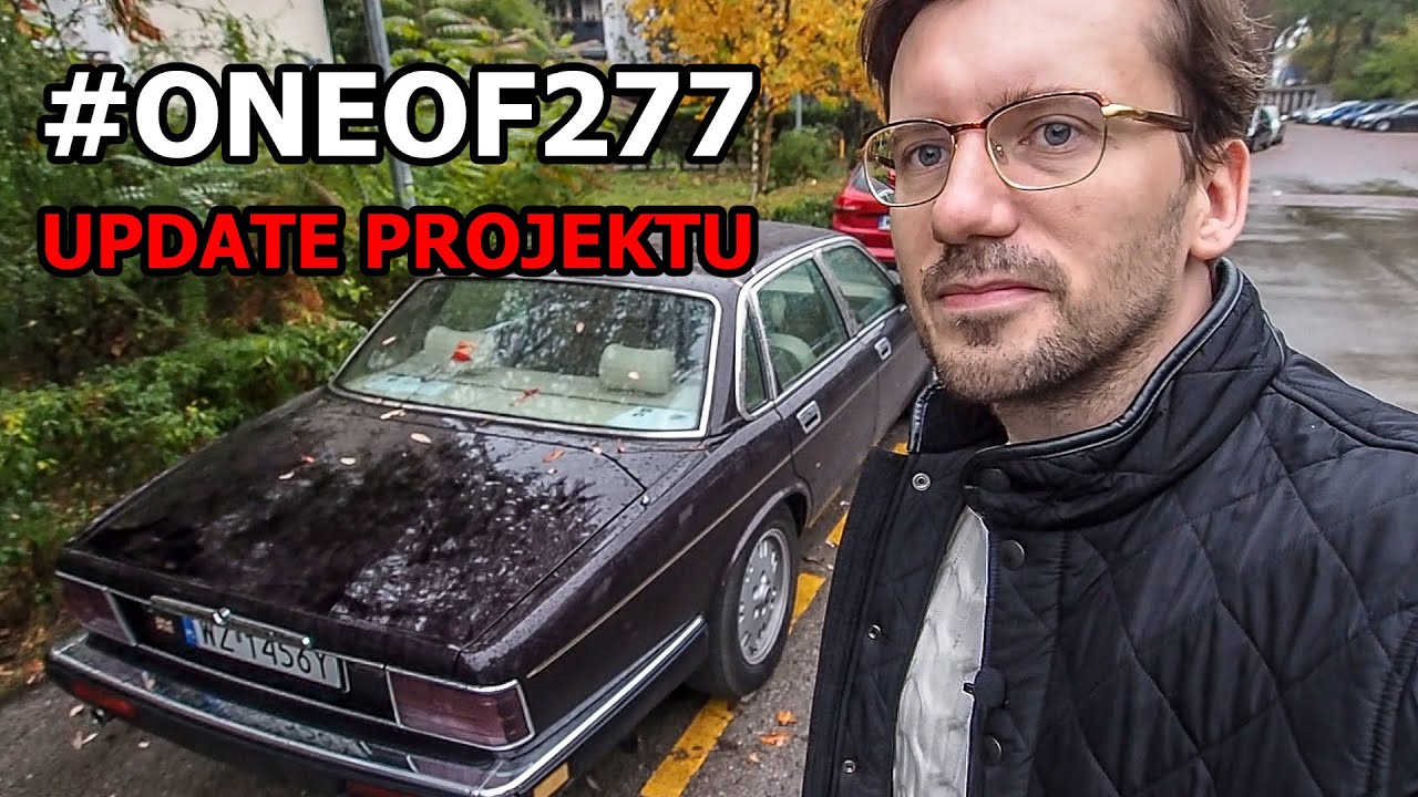 CO SŁYCHAĆ U KOTA? - jesienny update projektu [Sobota Dzień Kota - ODC. 35]