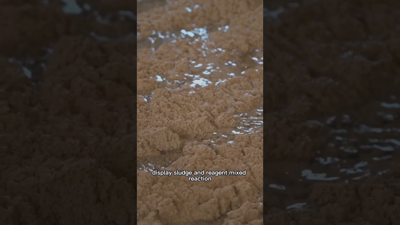 Whole sewage treatment process