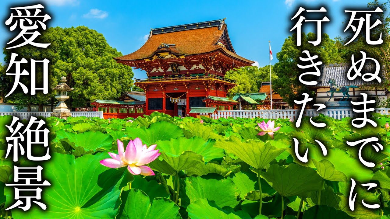 【岡崎きらり旅編】死ぬまでに行きたい愛知の絶景15選 - JAPAN in 8K
