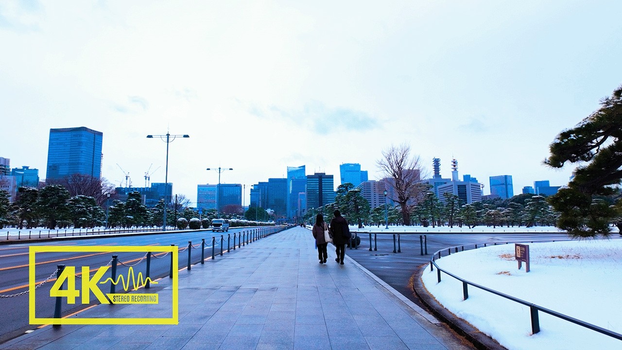 Snow-hushed Tokyo 4K Walk 2026: Nihonbashi to Marunouchi [1 Hour / ASMR]