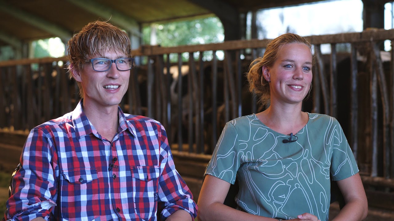 de firma kaas: Boerderij Koopman