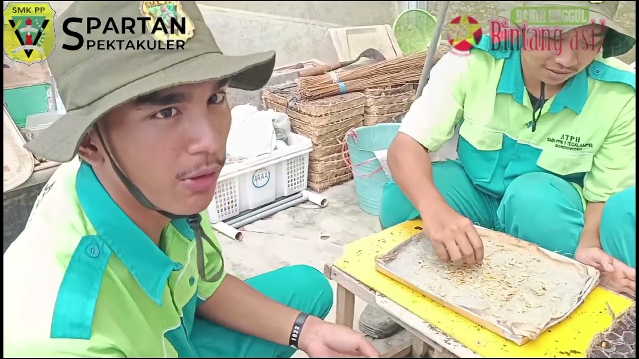Kegiatan saya selama magang di PT benih citra asia