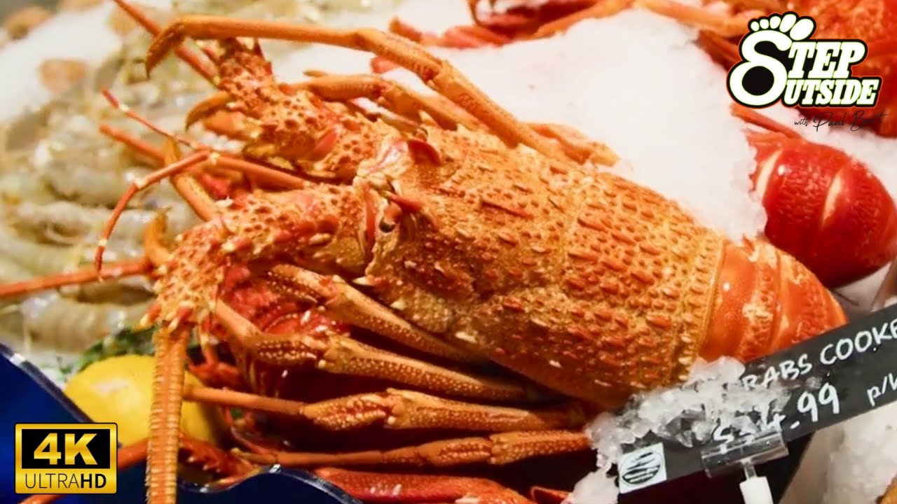 Раскрывая секреты Balmain Bugs и Moreton Bay Bugs | Выходите на улицу с Полом Бертом
