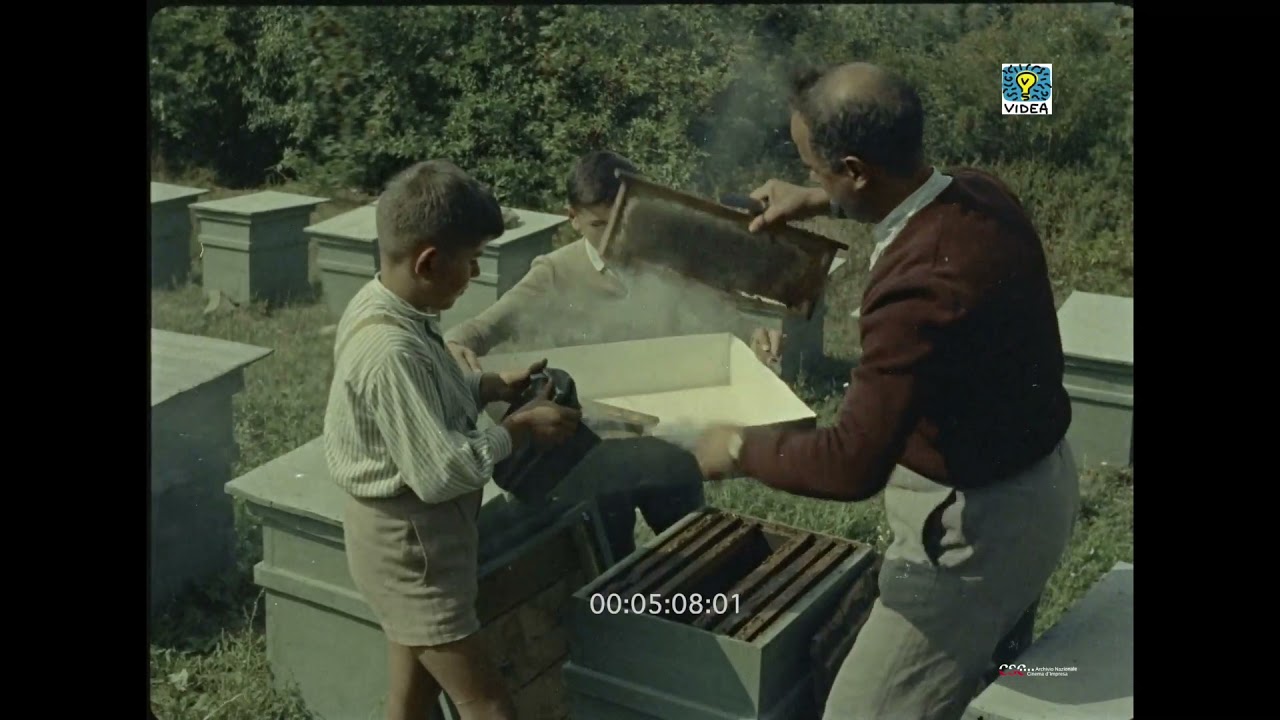 Vallombrosa (Fausto Mazzuka, 1955)