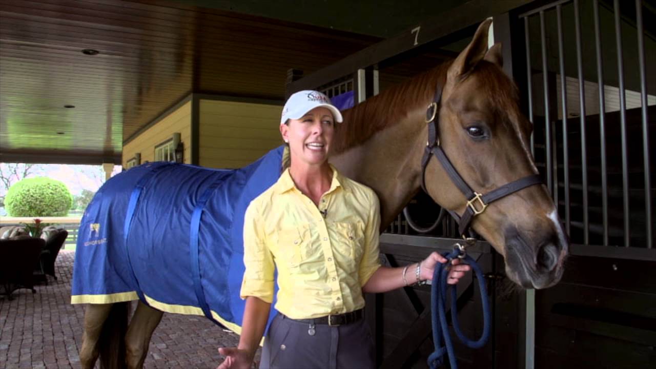 When to use your Accuhorsemat w/ JJ Tate