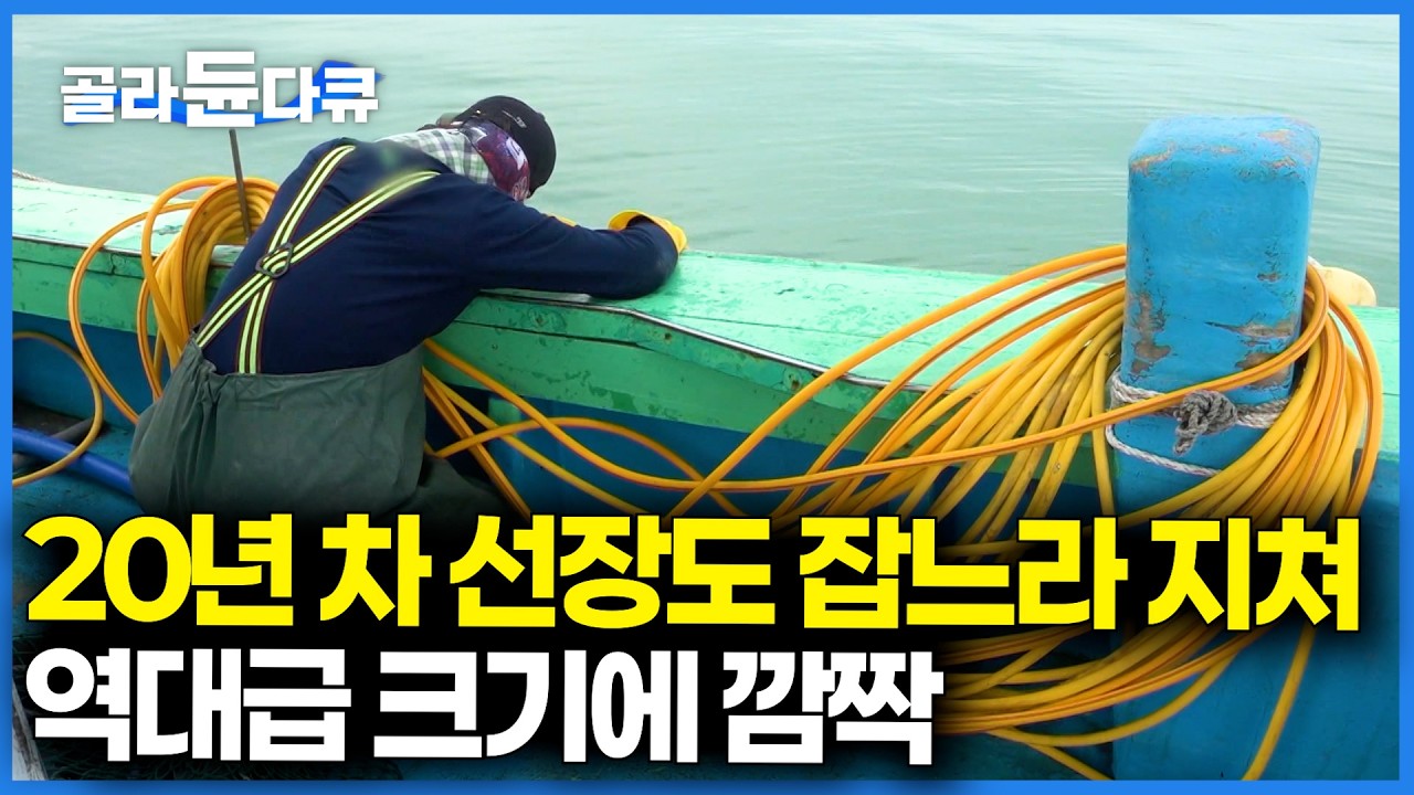 일본 중국에서도 찾는 맛. 갈수록 비싸지는 30~40cm 역대급 크기의 한국산 고급 해산물의 정체｜극한직업｜#골라듄다큐
