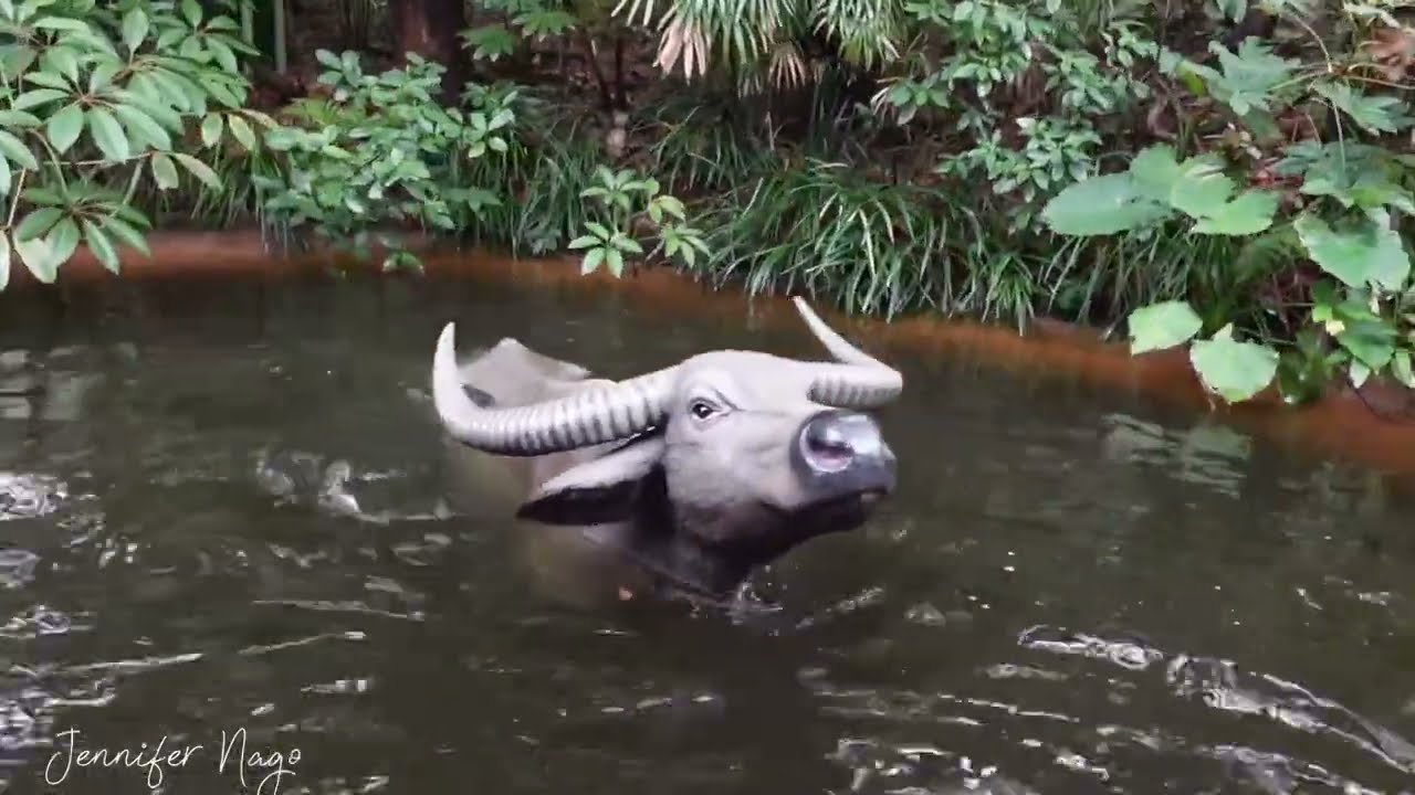 Jungle Cruise | Experience | Tokyo Disneyland Resort | 4K 60FR