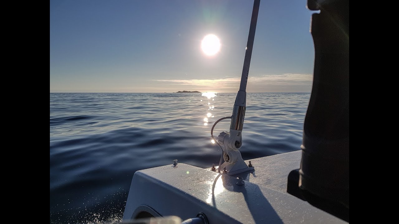A fishy cruise around Mull