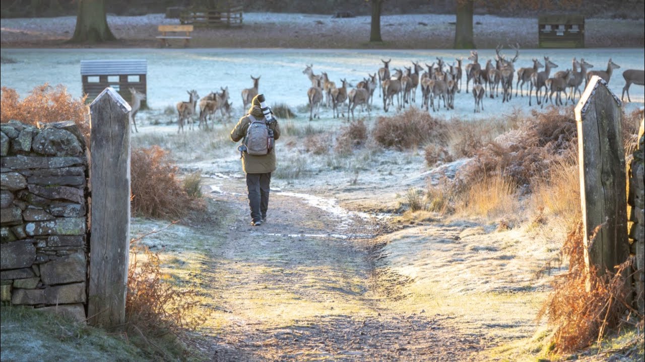 Bradgate Park Video