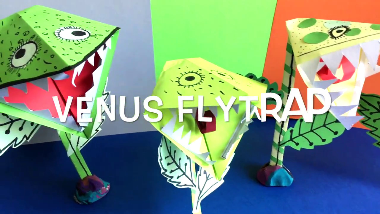 Venus Flytrap
