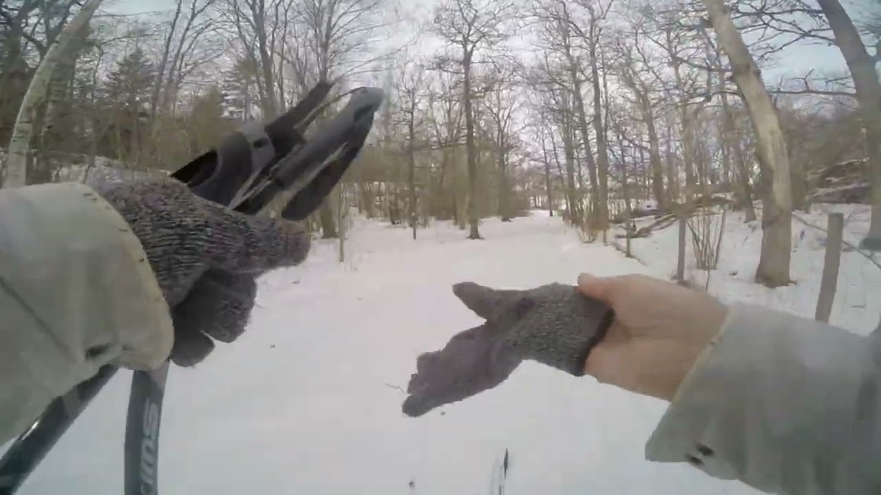 Slow TV: Skiing in Håga