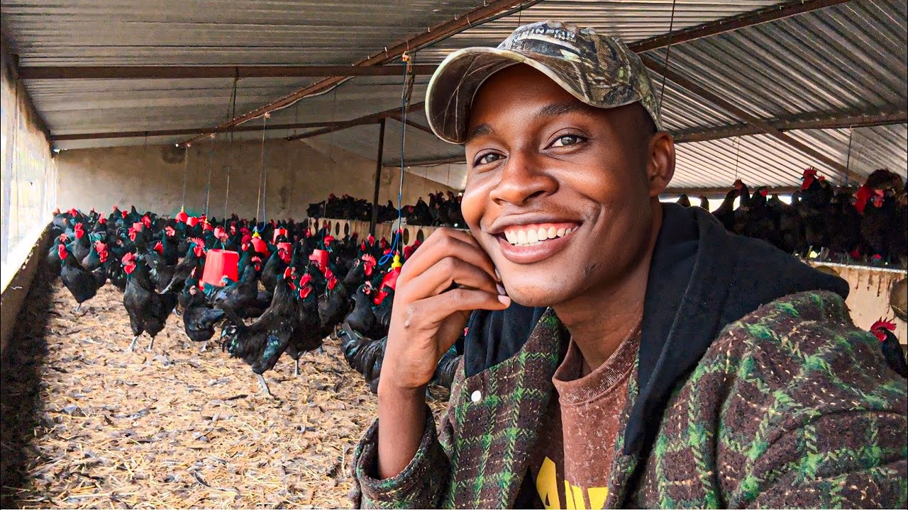 From South Africa to Having a SUCCESSFUL Road Runner Project in Zimbabwe