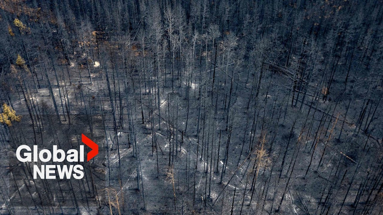 Alberta firefighters work to save Fox Creek as temperatures soar in Western Canada