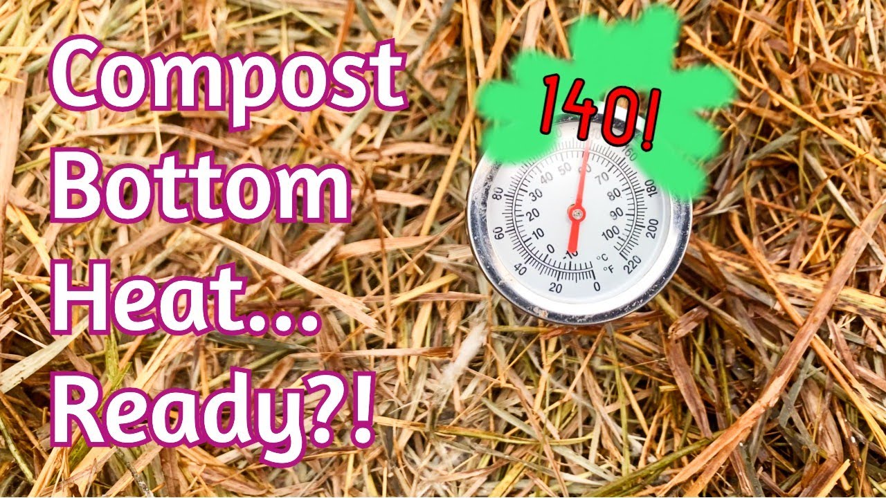 Late Winter Update - Compost heat, shipping, bamboo experiment and more