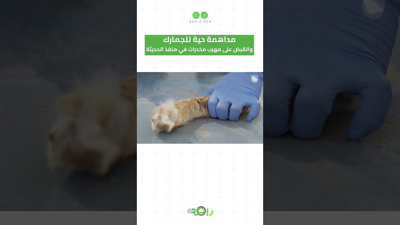 مداهمة حية للجمارك والقبض على مهرب مخدرات في منفذ الحديثة