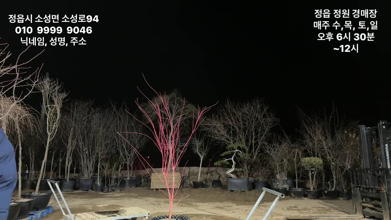 제54회 3월 14일 토요일 (유)정원1농업회사법인 분재 정원수 특수목 실시간 경매