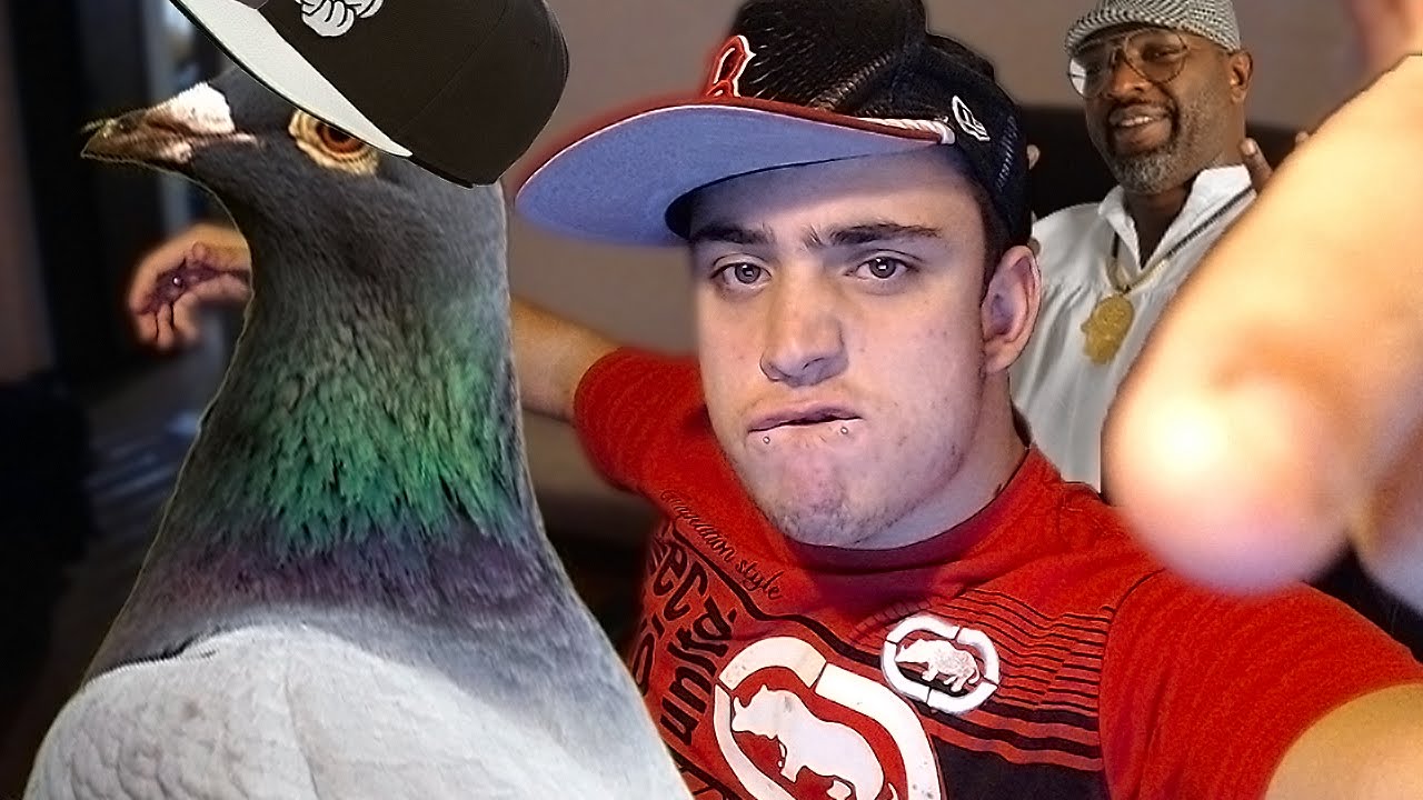 O POMBO FORA DA LEI - MOD de GTA V