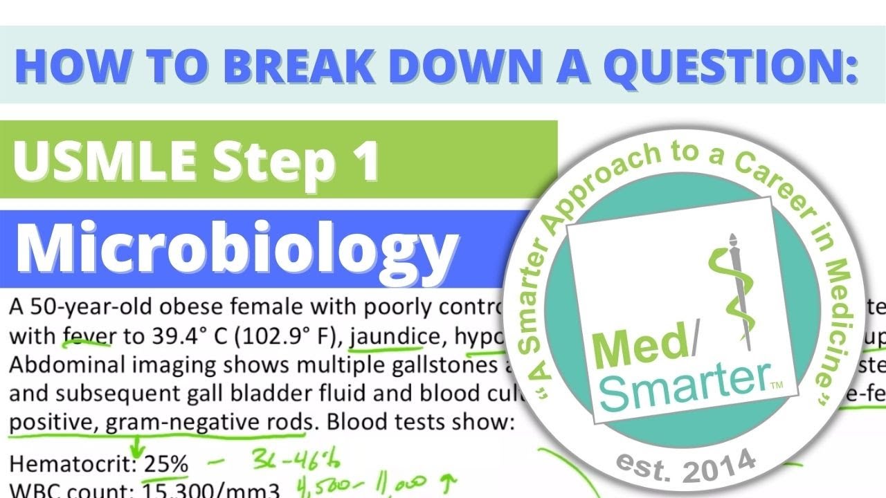 How to Break Down a Question | USMLE Step 1 | Microbiology