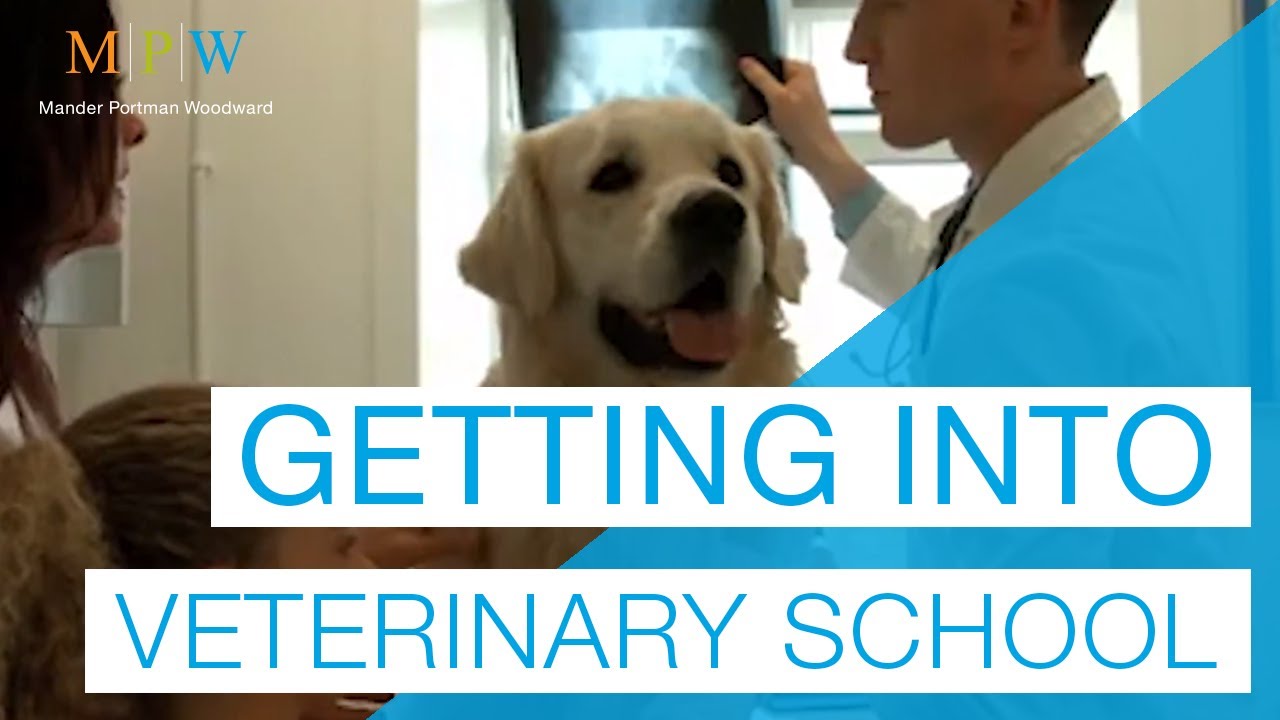 Getting into Vet School