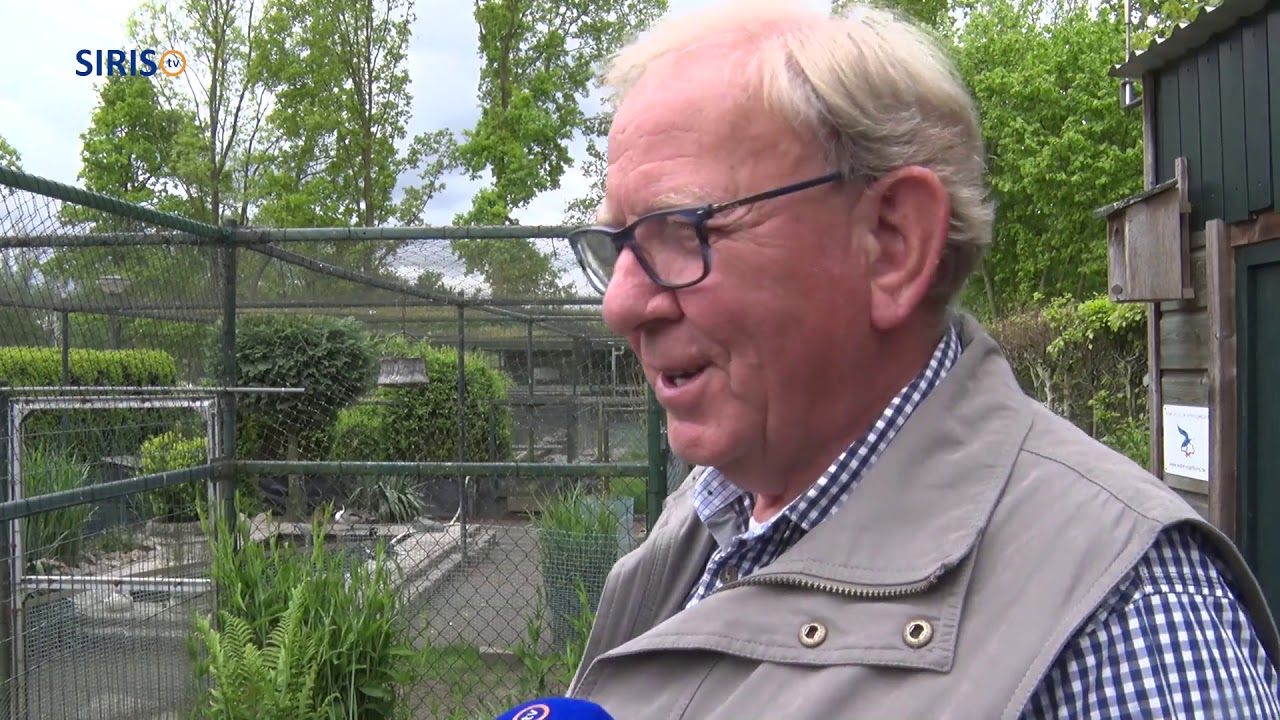 75 Jaar Streven naar Beter - Jos van Ruijven over zijn watervogels