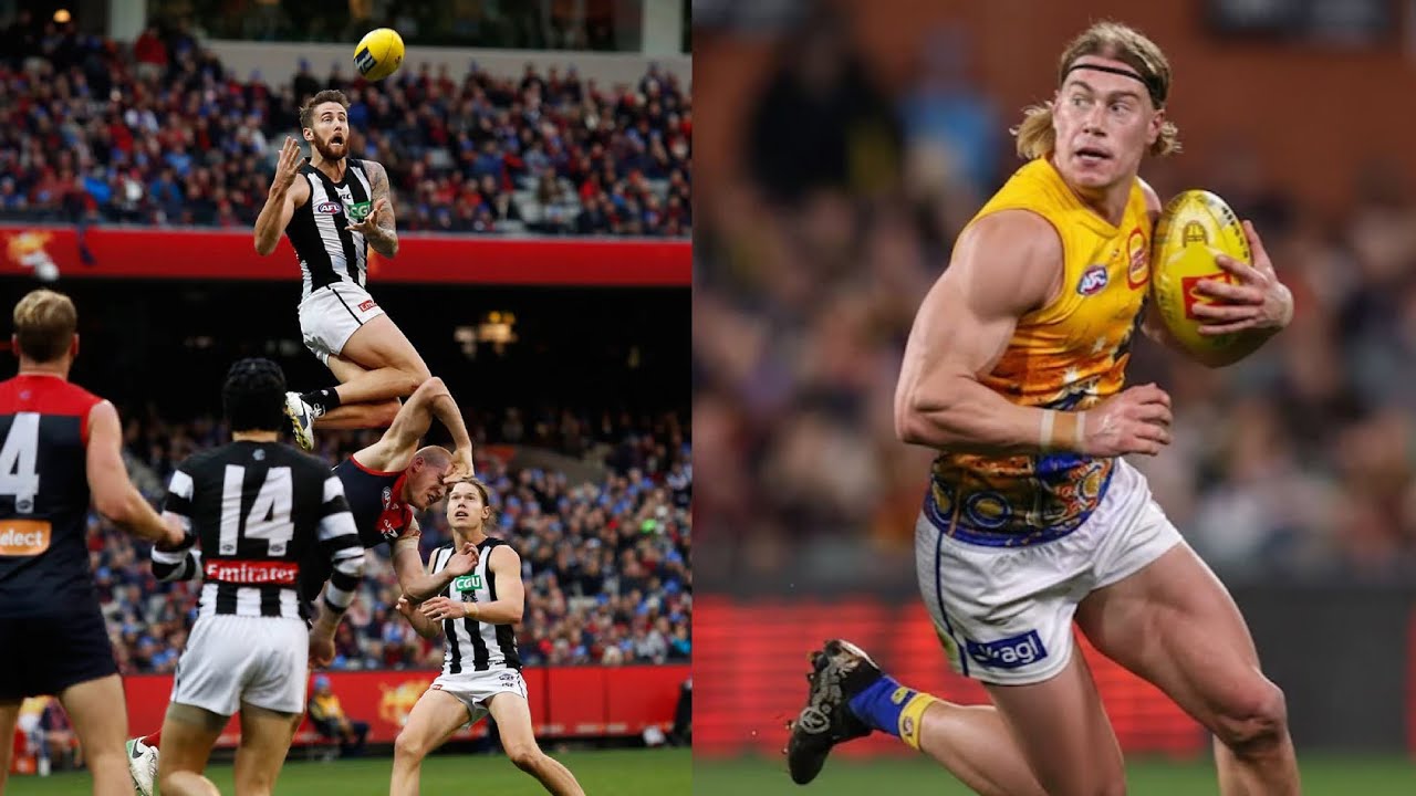 AFL 