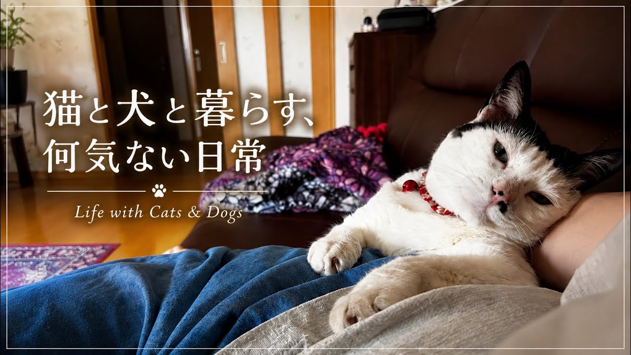 ゆったりと過ごす