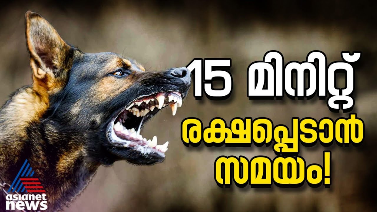 ജീവന്റെ വിലയുള്ള 15 മിനിറ്റ്; ശ്രദ്ധ പുലർത്തണം | Rabies Awareness