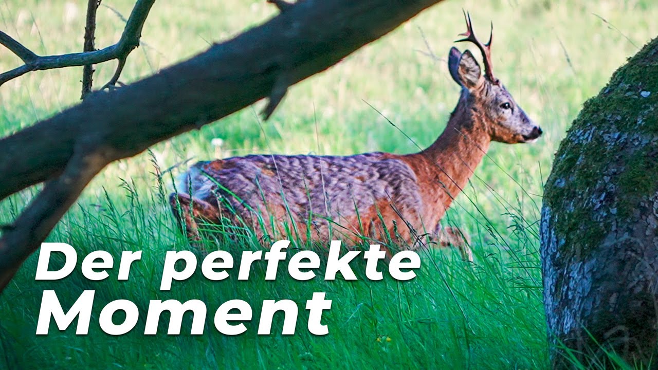 BOCKJAGD &ndash; Der Film &middot; Echt. Ehrlich. Erfolgreich.