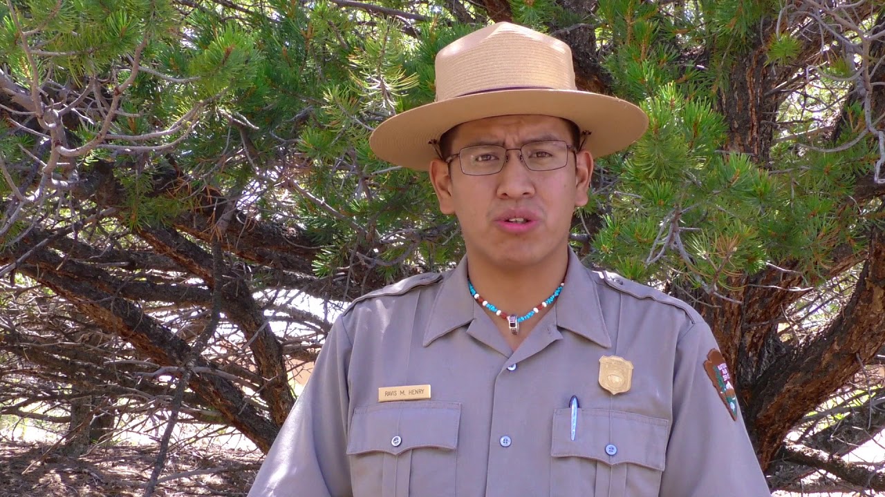 Sisnaajini: A Navajo Story