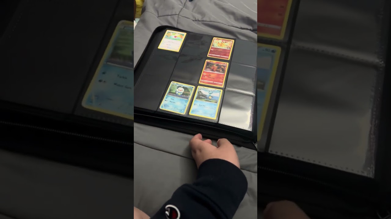 My Pokédex binder