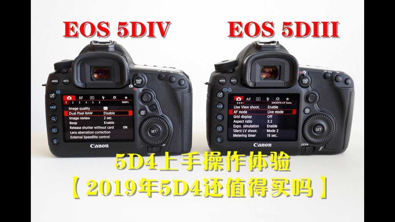 【2019年5D4还值得买吗】5D4操作体验