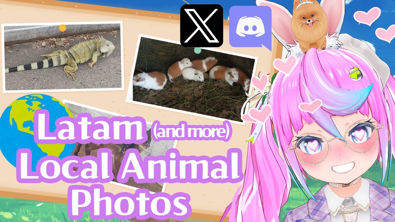 【 #Vtuber JP】世界中の野生(?)動物の写真送ってもらった！Local animal photos! EN/ES OK!【同志かりん / Comrade Karin】
