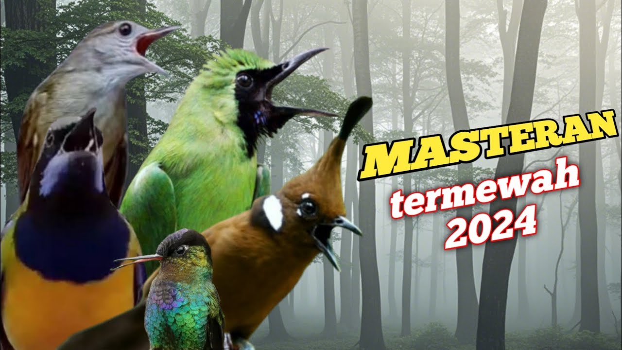 MASTERAN BESETAN TAJAM PENJEBOL BIRAHI|| mudah masuk terbaru 2024